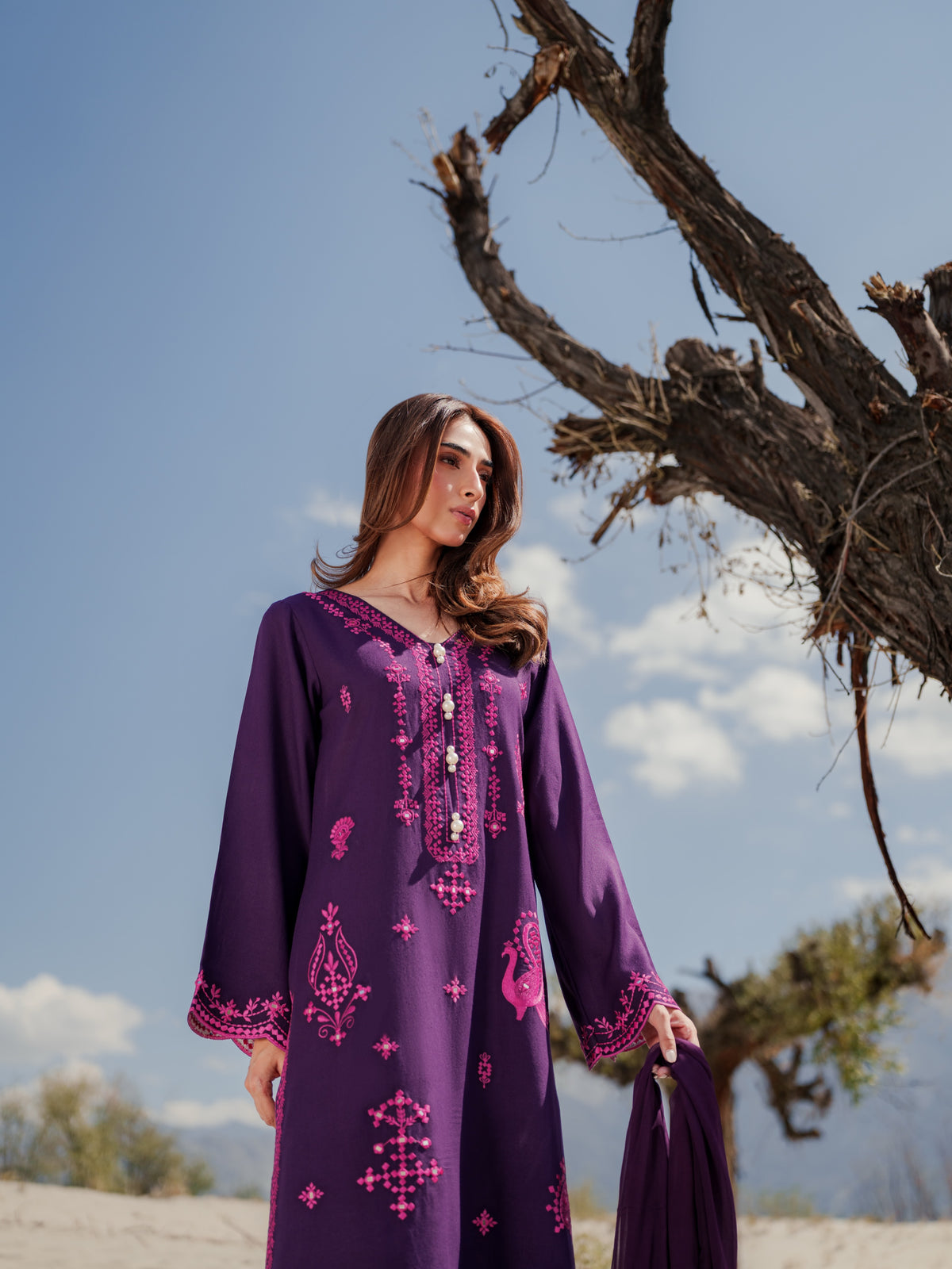 Gulzaib Embroidered 3Pcs